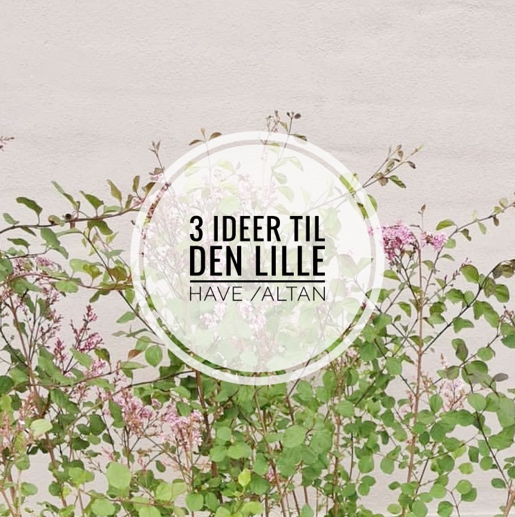 IDEER TIL DEN LILLE ALTAN